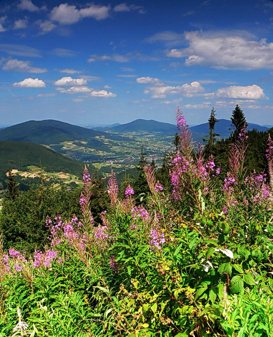 Luboń Wielki