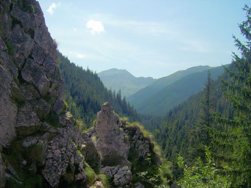 Wiślak1906