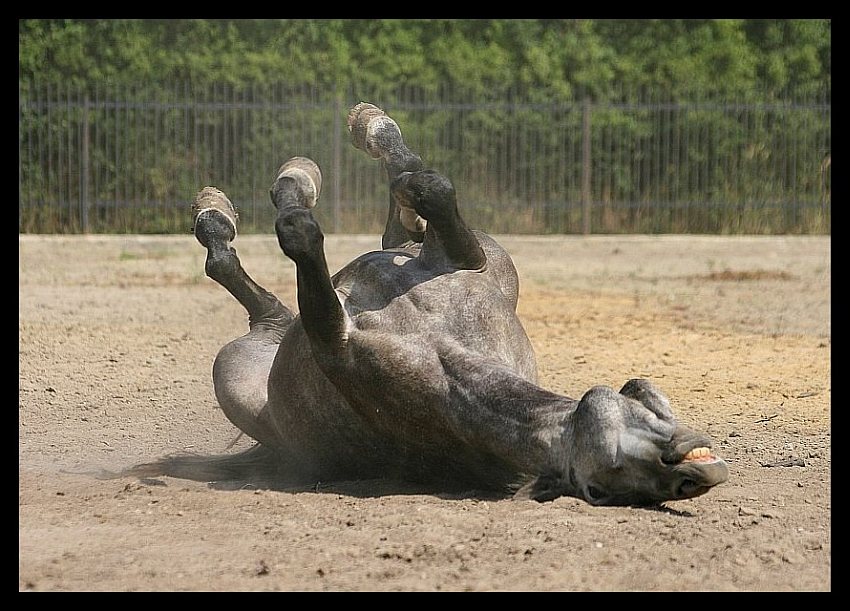 upside down