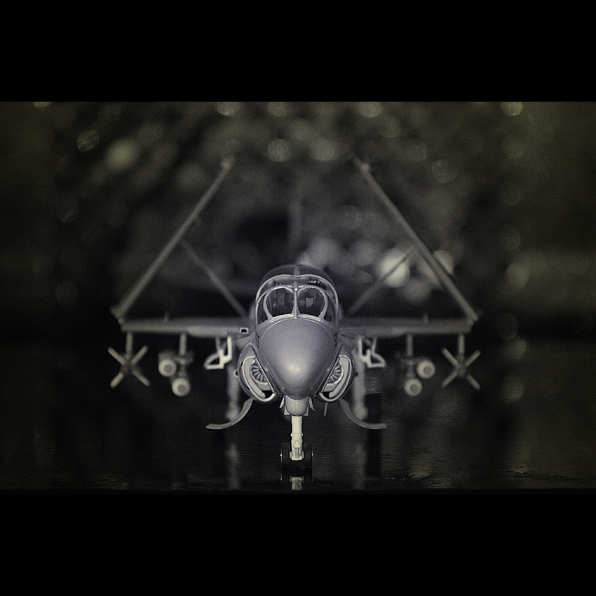 Intruder