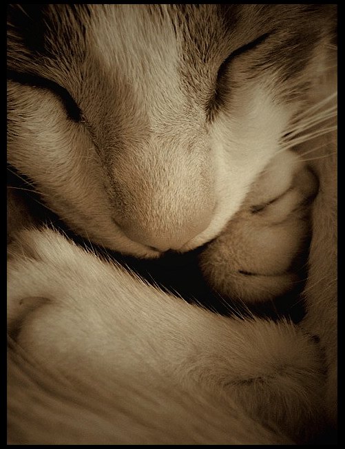 Rudy:)