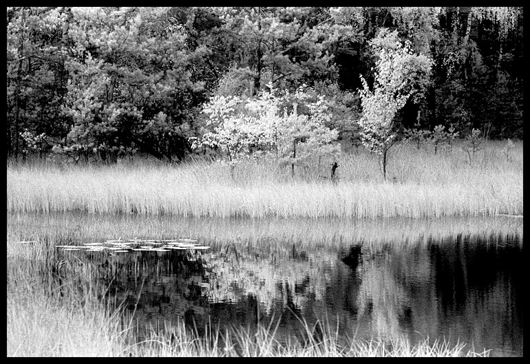 Bagno Przecławskie