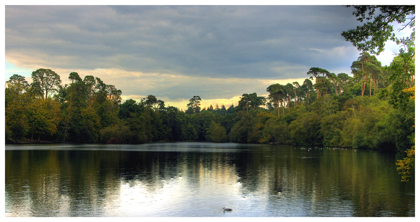 BLACKPARK