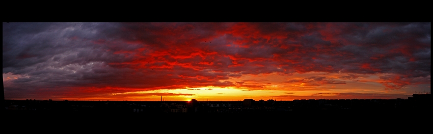 Bartek_21