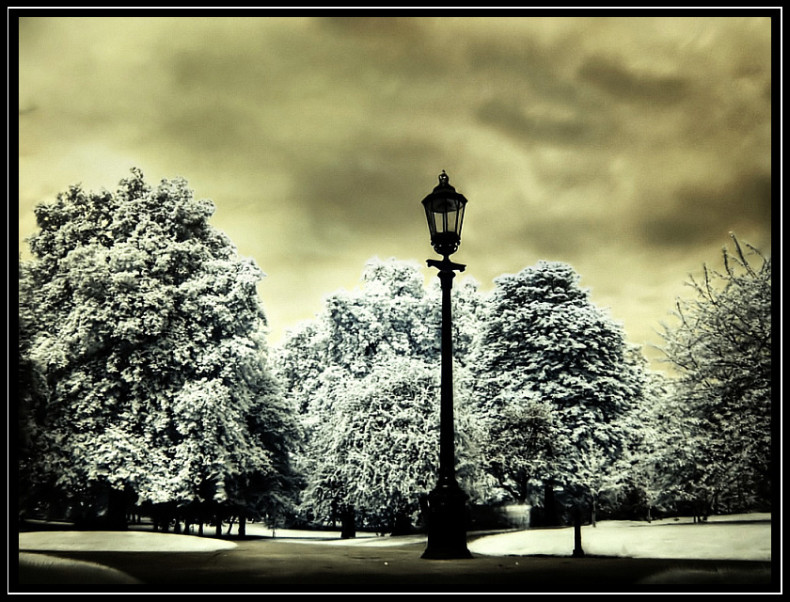Let it snow...