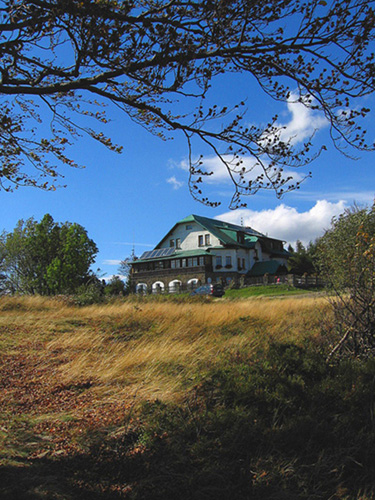 Schronisko