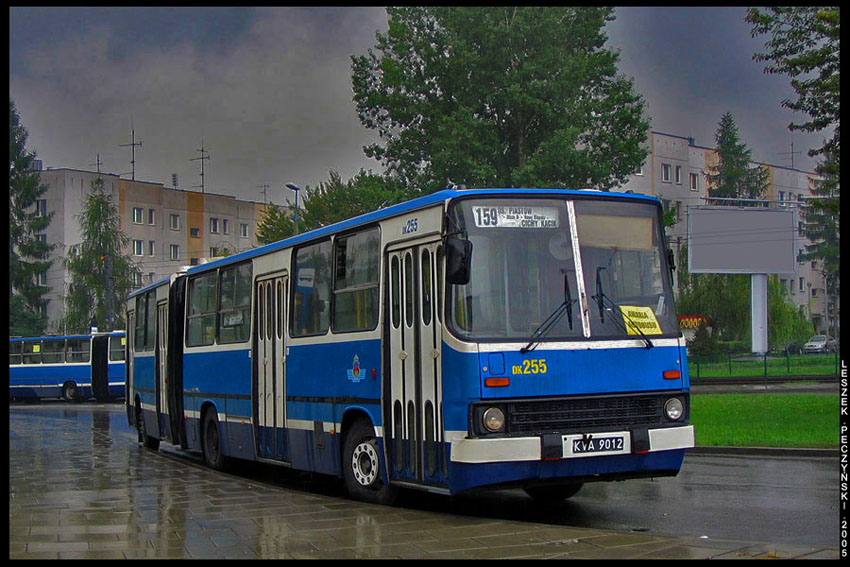 peczek804