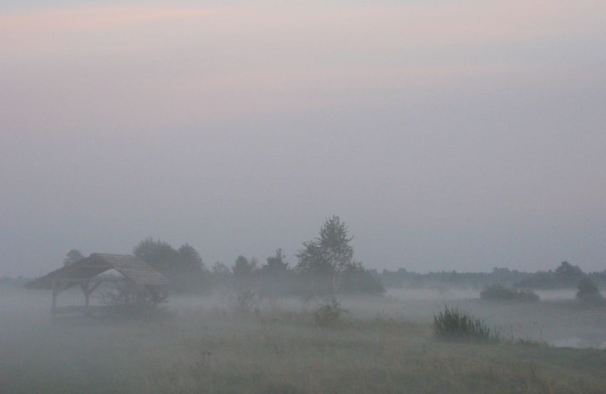 mgła
