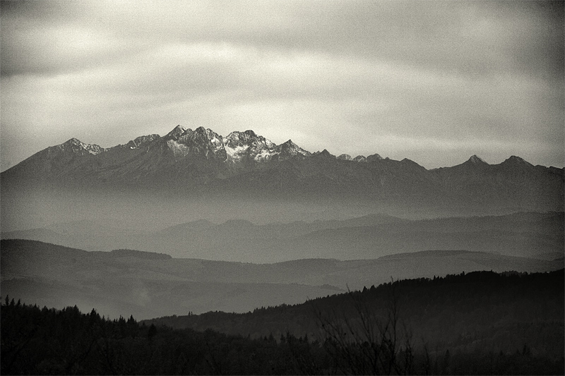 widoczek