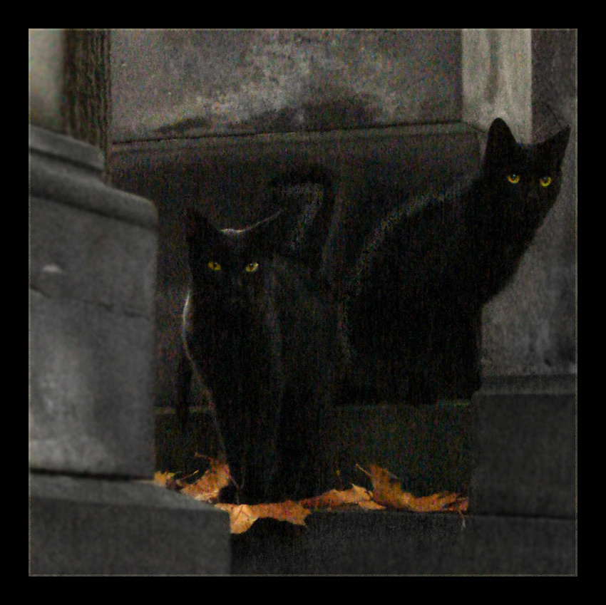 pude dark & evil