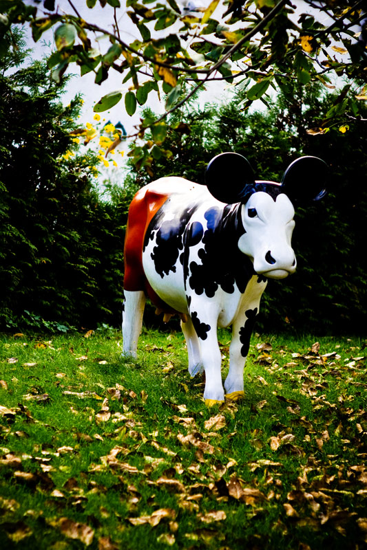 miki cow