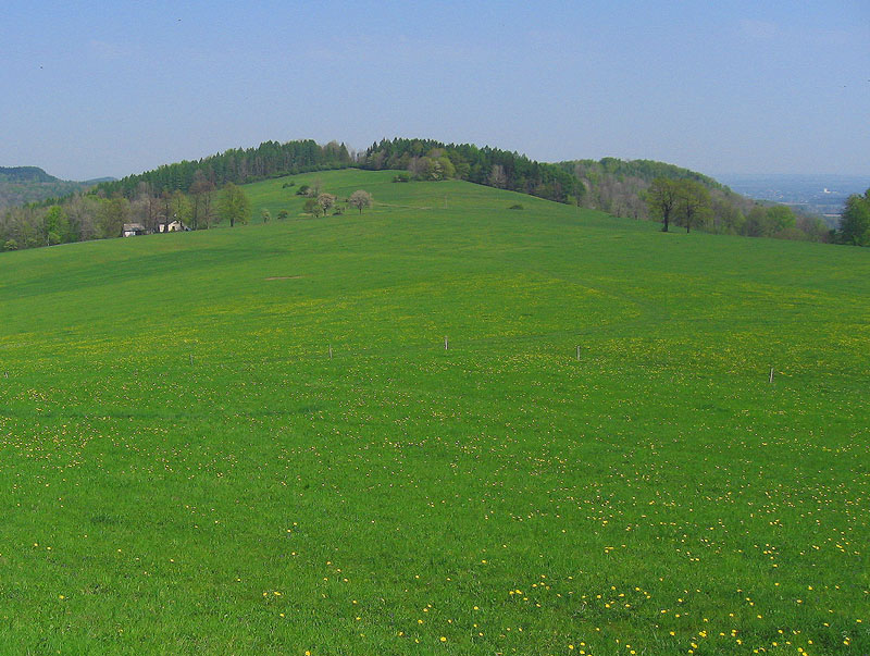 zielono mi