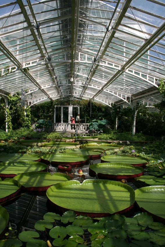 Ogród botaniczny w Monachium