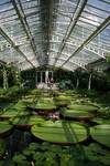 Ogród botaniczny w Monachium
