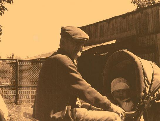 mabonga