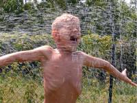 Skazany na Shawshank