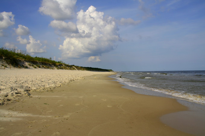 wojciechK