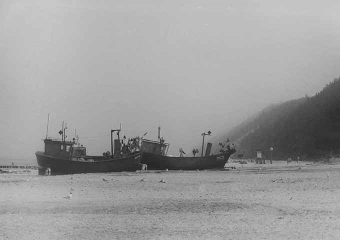 in the fog