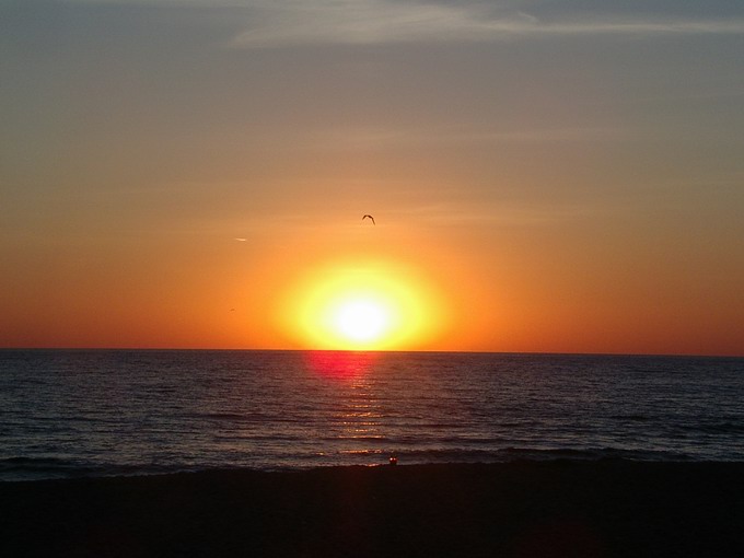 Jastarnia 2005