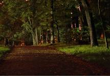 Park mistrzejowicki nocą