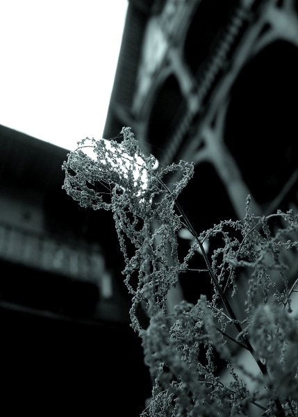 Sanatorium Doktora Gotarda VI