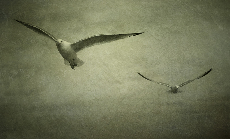 Sea ghosts