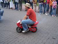 Wyrośnięty krasnoludek.