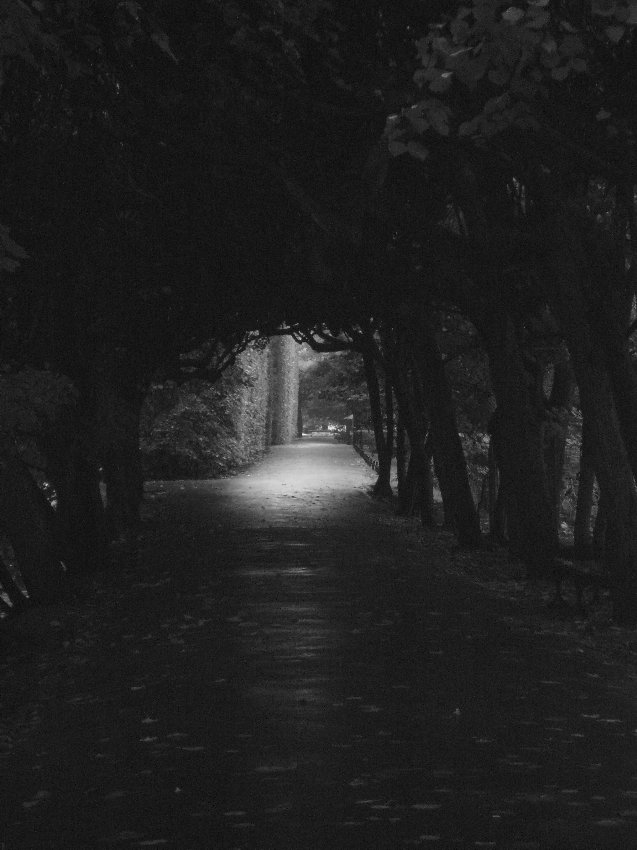 Park