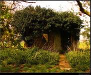 ...secret pleace...
