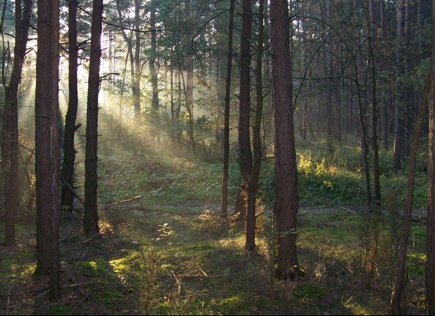 horeszko