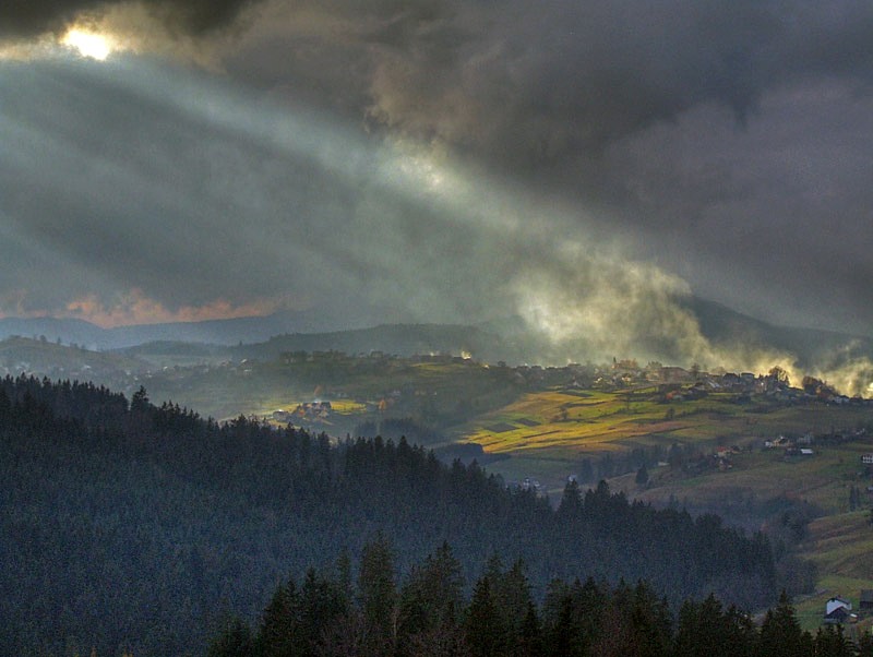Stary Niebieski Osioł
