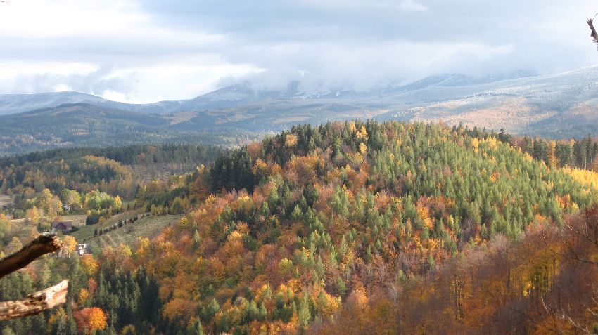 mkrzyska