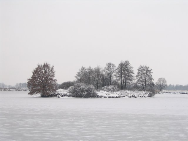 Wyspa
