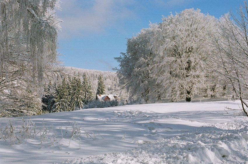 tuzbysiu