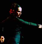 flamenco