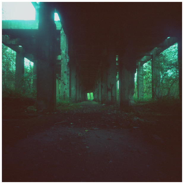 * ( dusk )