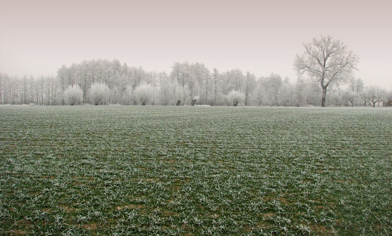 Grudniowy widoczek