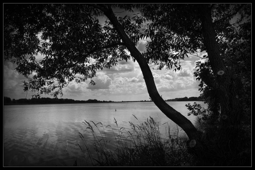 Wisla