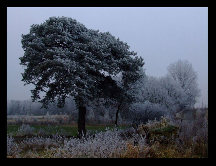 Winter Time
