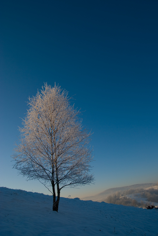 lonely morning