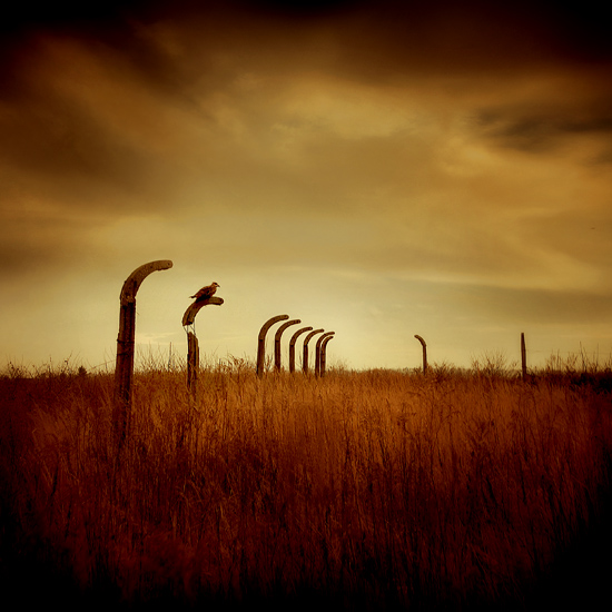 hunter