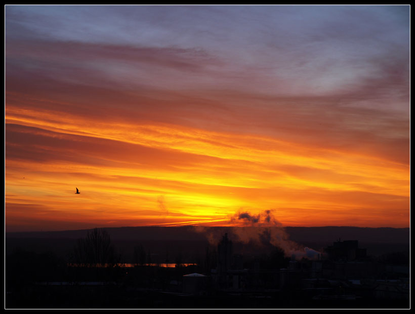 Wczorajszy ranek...