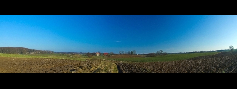 Wsi spokojna...