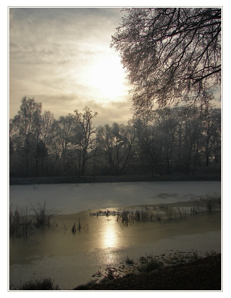 Zmarzły Staw