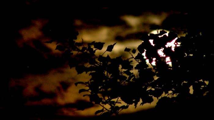 moon