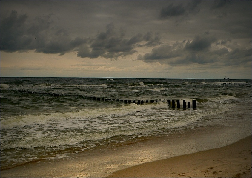 Barton Fink