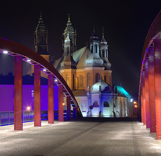 katedra poznańska
