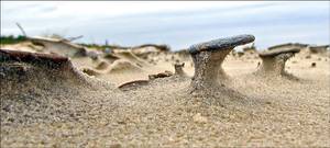 Po-wietrze na plaży