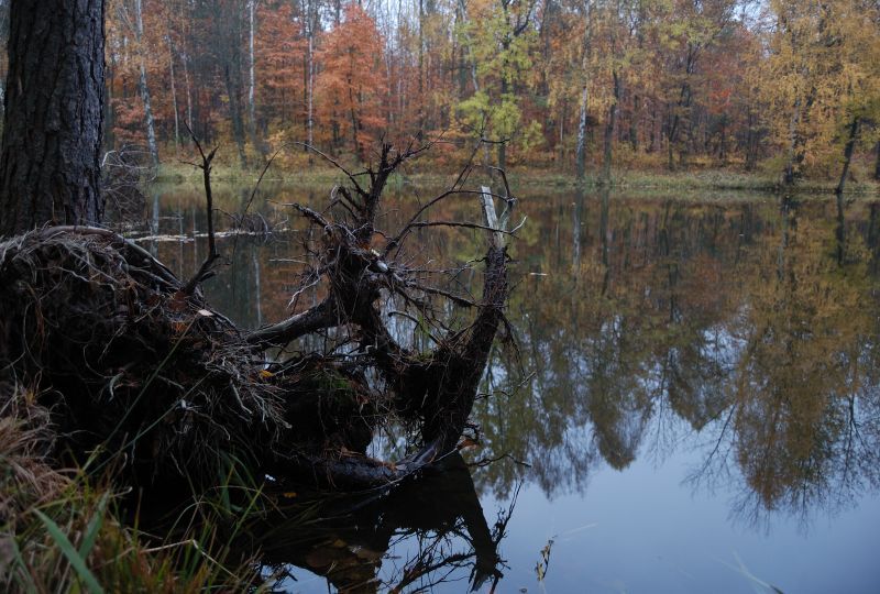 zakątek