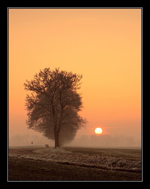 Puszcza Z.